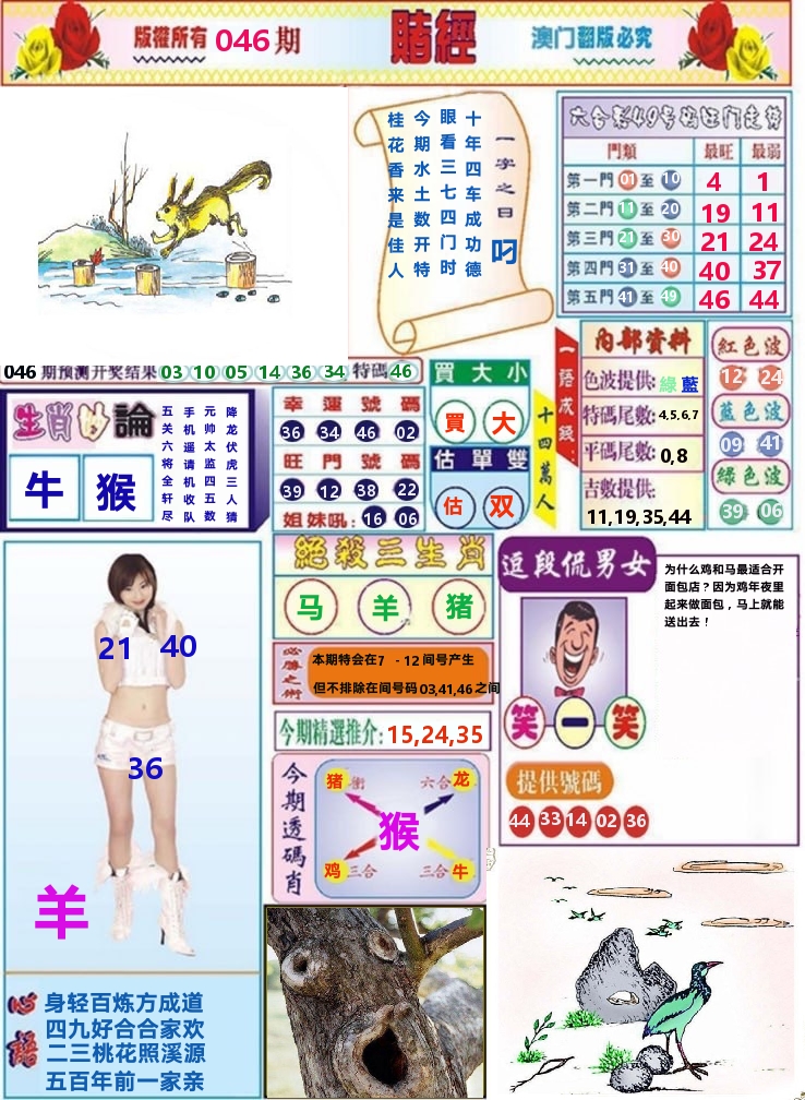 澳门赌经 第46期