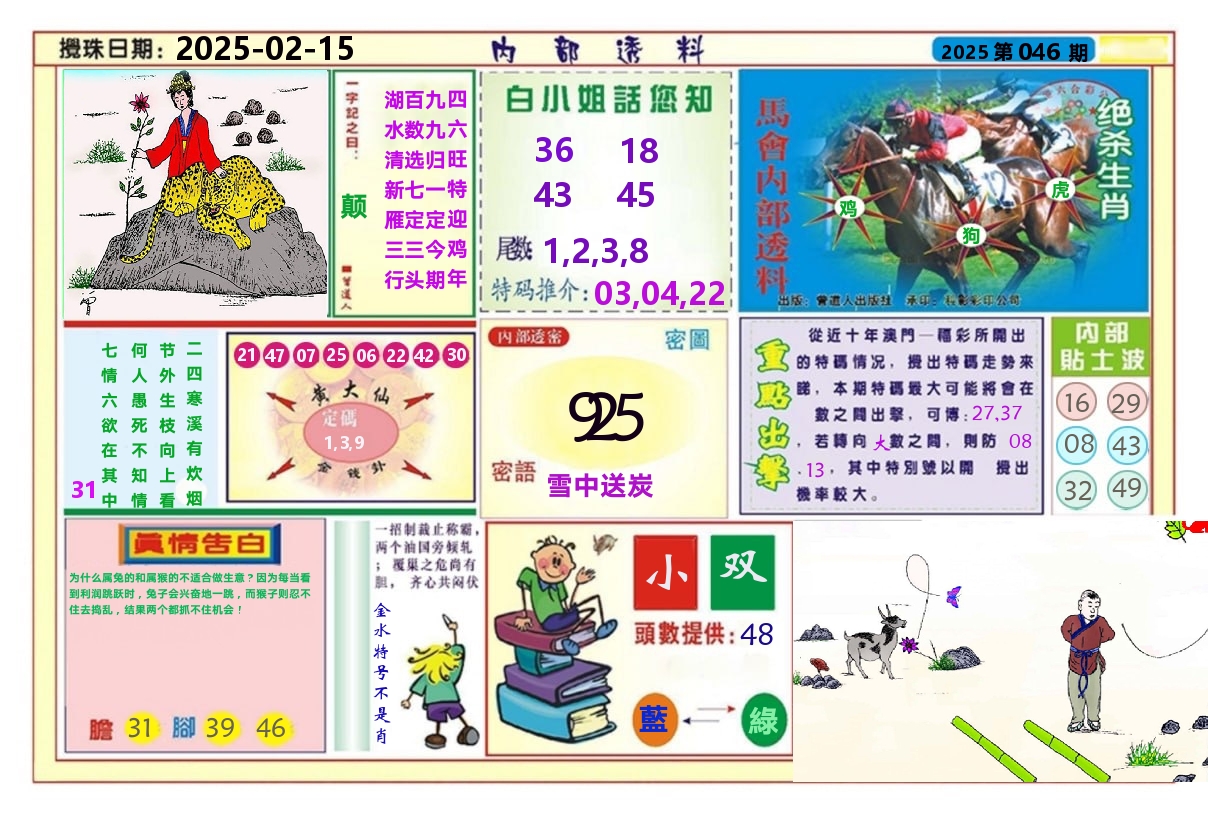澳门内部透料A 第46期