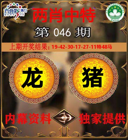 两肖中特 第46期