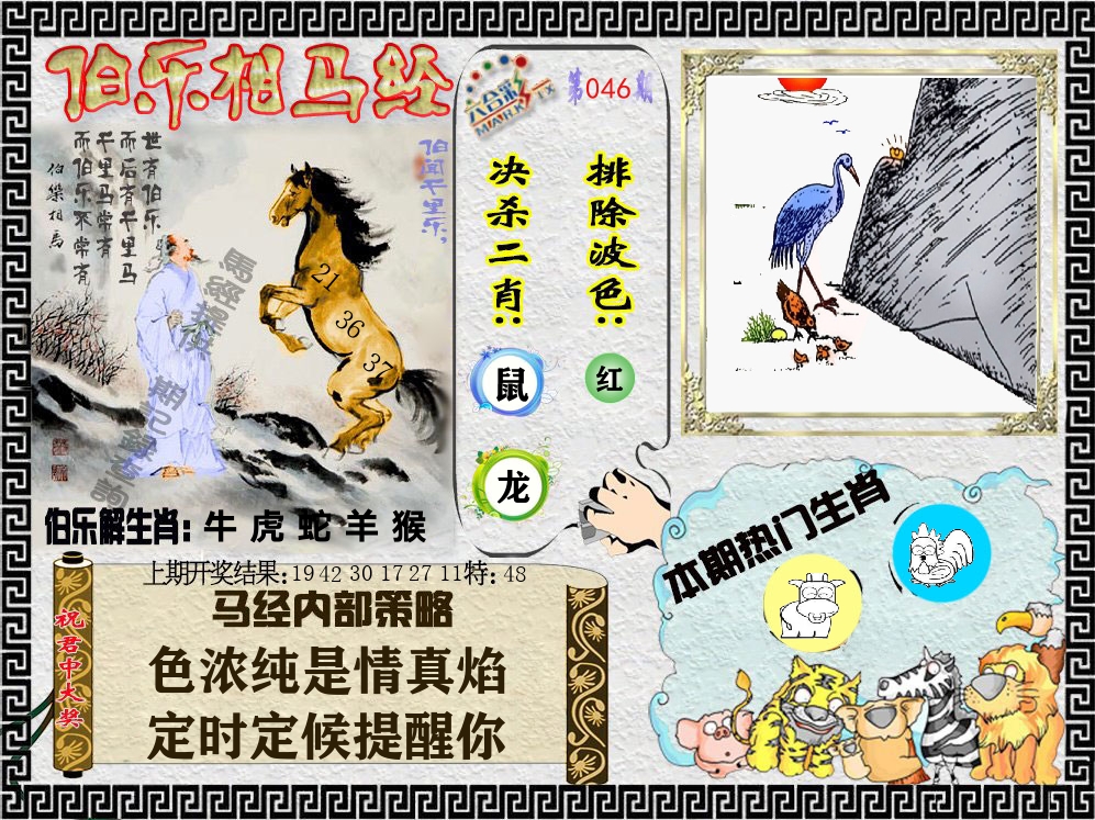 伯乐相马经 第46期