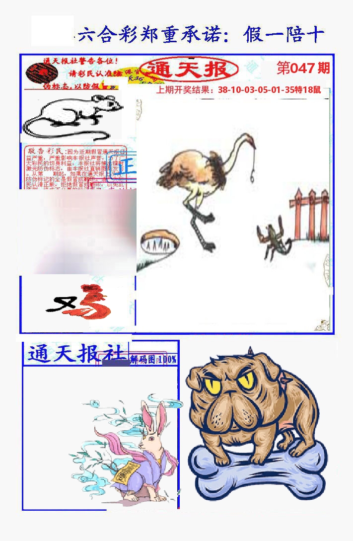 通天报 第47期