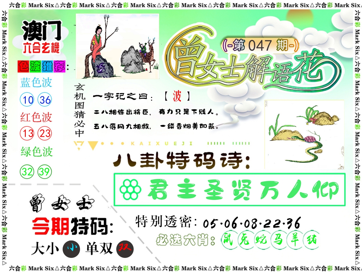 曾女士解语花 第47期