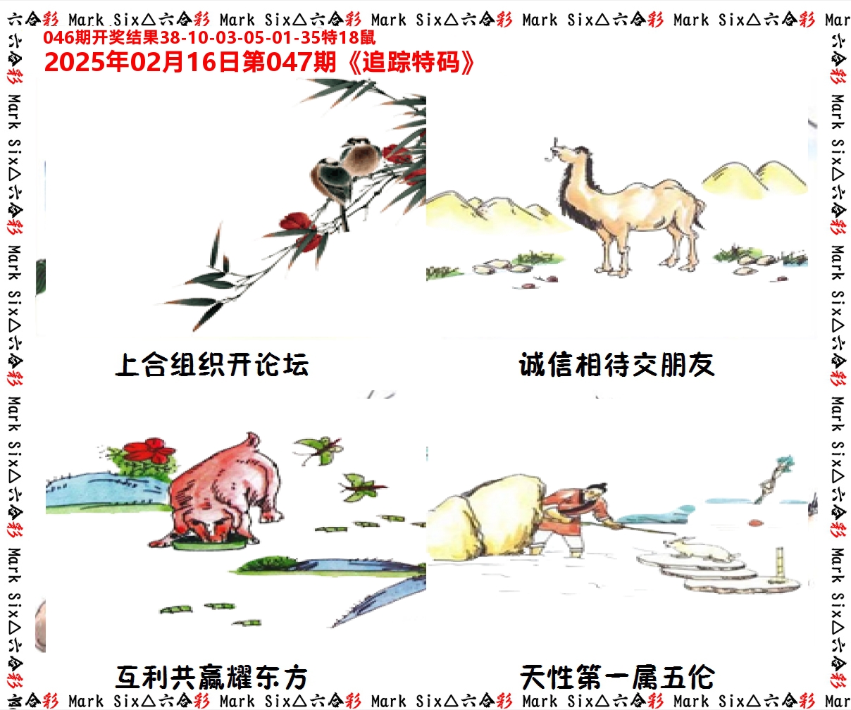 追踪特码 第47期