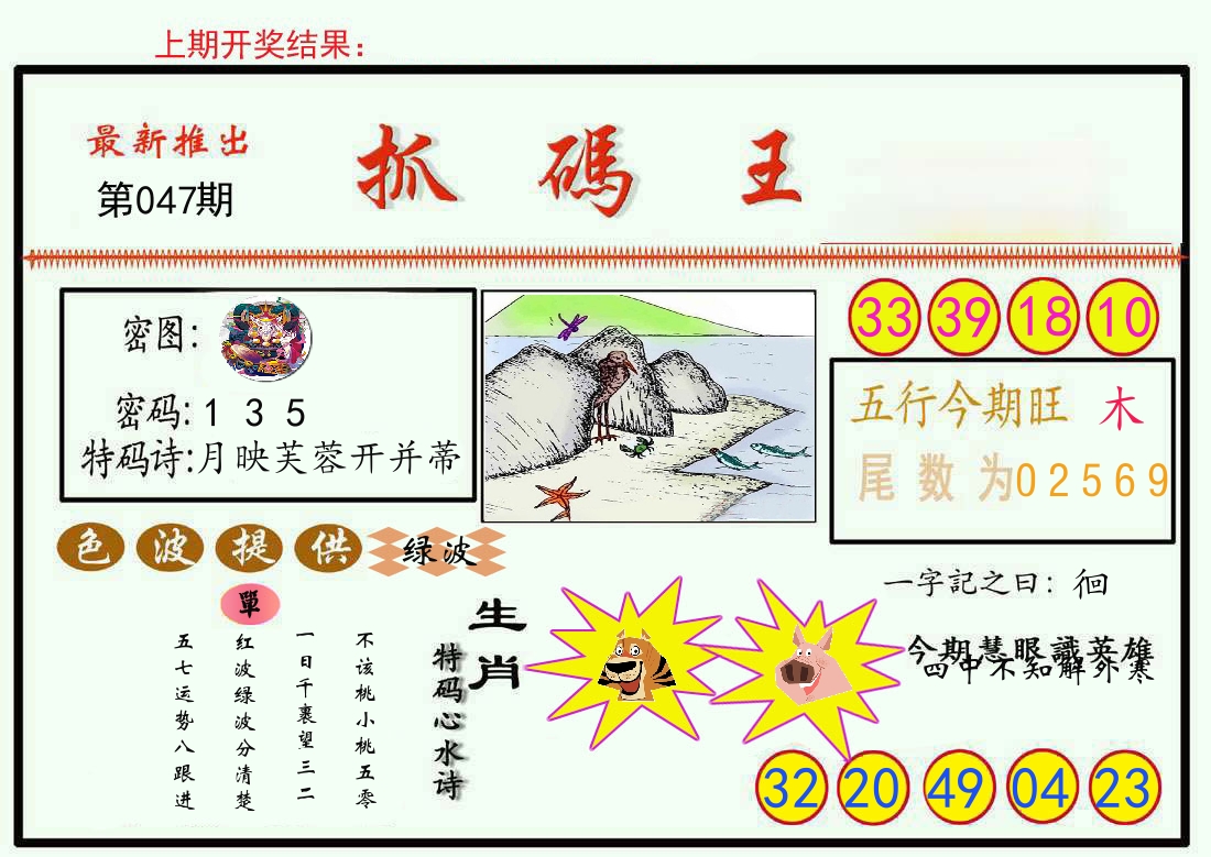 最新抓码王 第47期