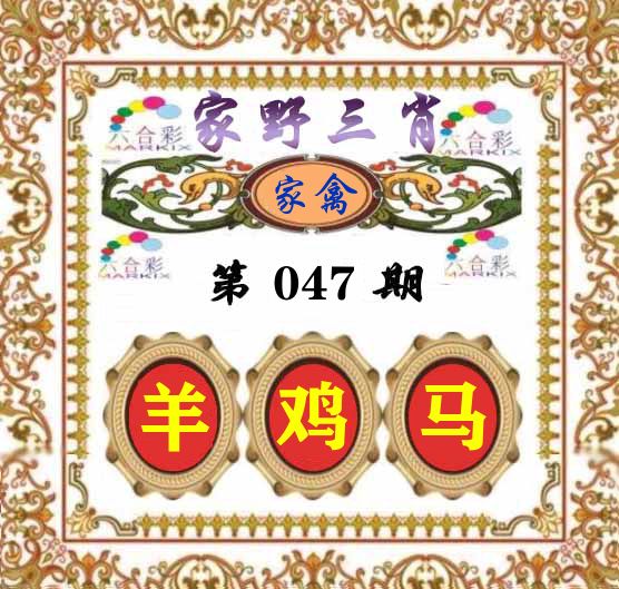 家野三肖 第47期