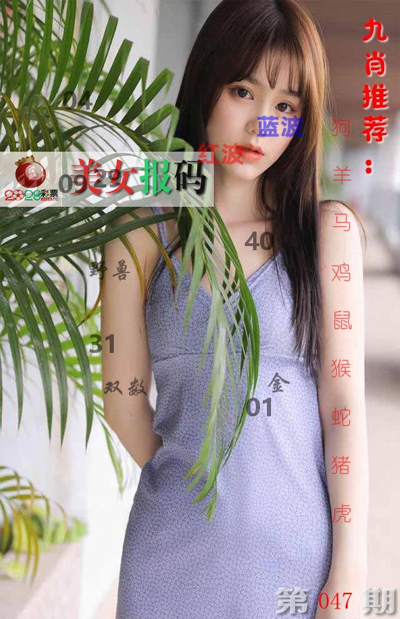 美女报码 第47期
