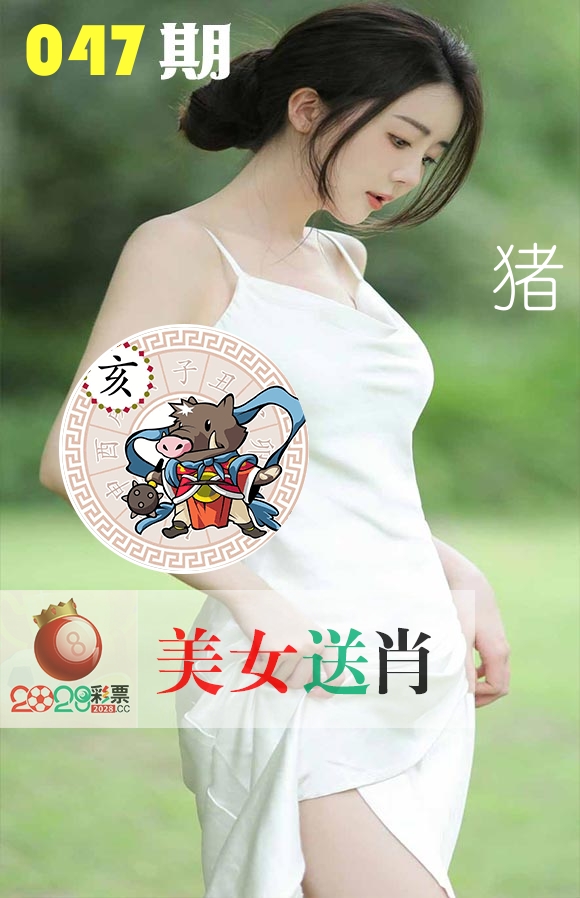 美女送肖 第47期