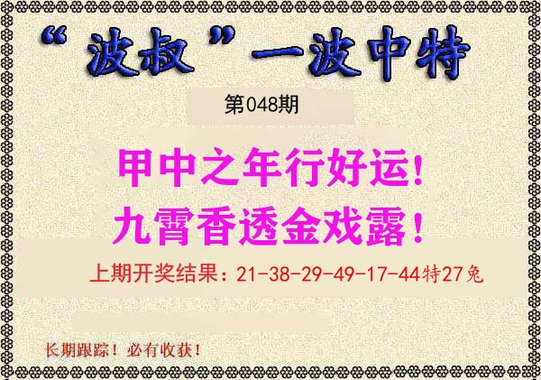 波叔中特 第48期