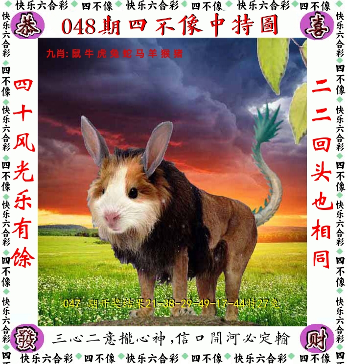 四不像 第48期