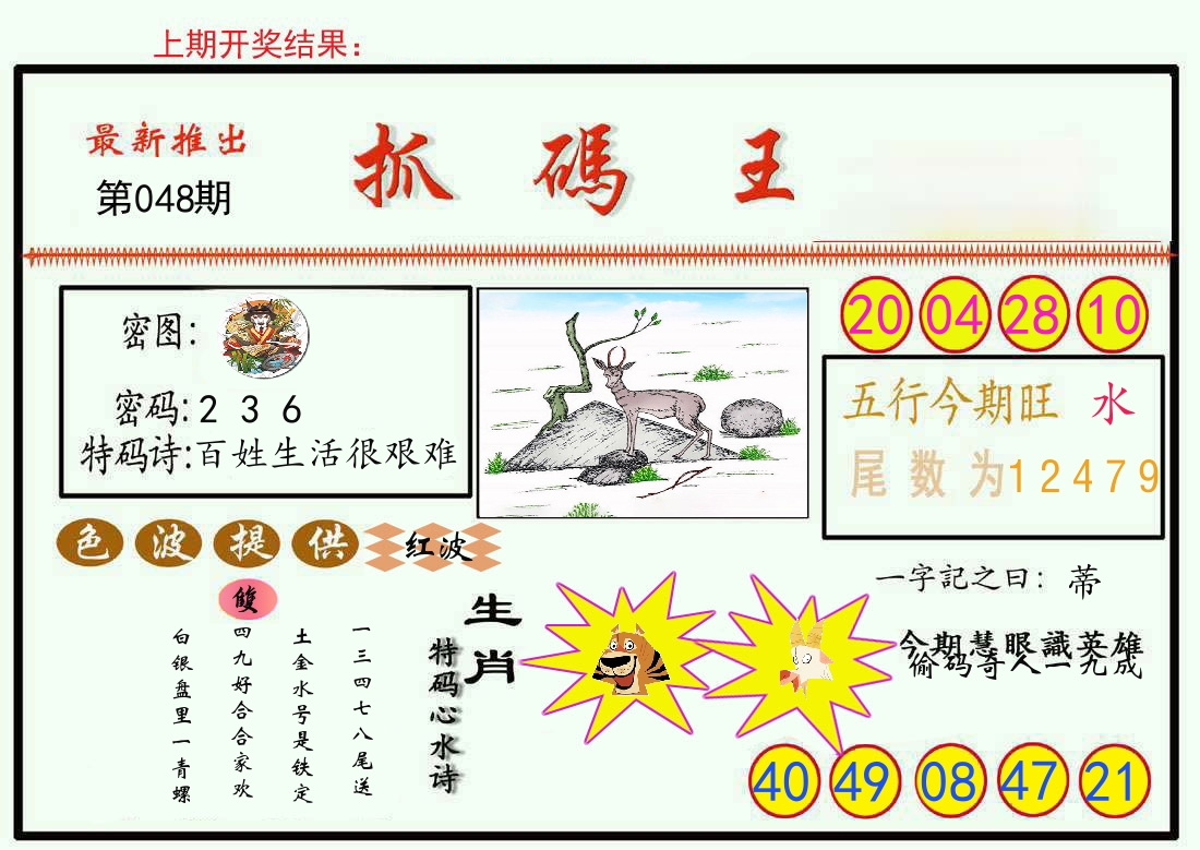 最新抓码王 第48期
