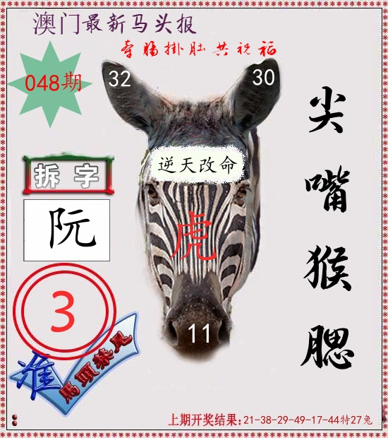 马头报 第48期