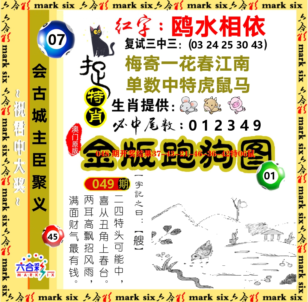 金版跑狗图 第49期