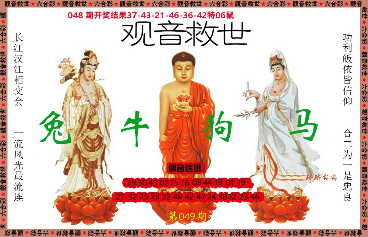 观音救世 第49期