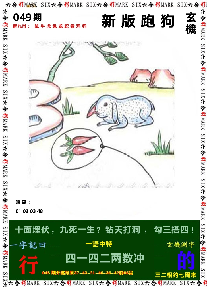 悟入其图 第49期