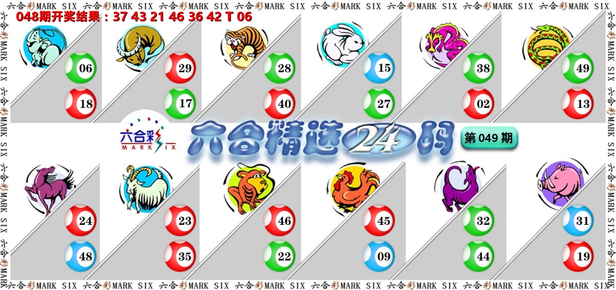 六合精选24码 第49期