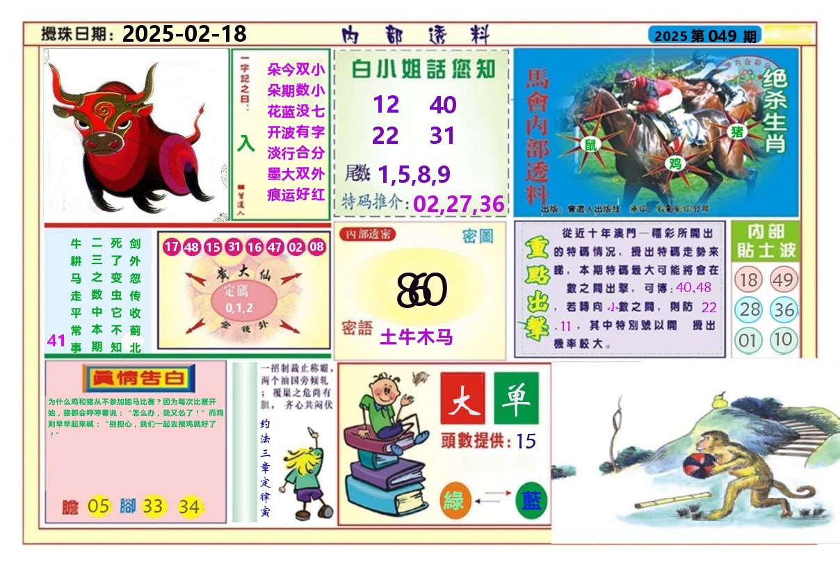 澳门内部透料A 第49期