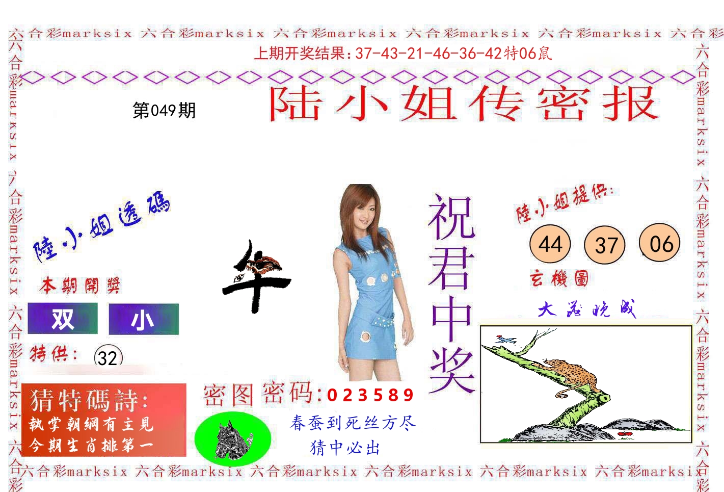 陆小姐密报 第49期