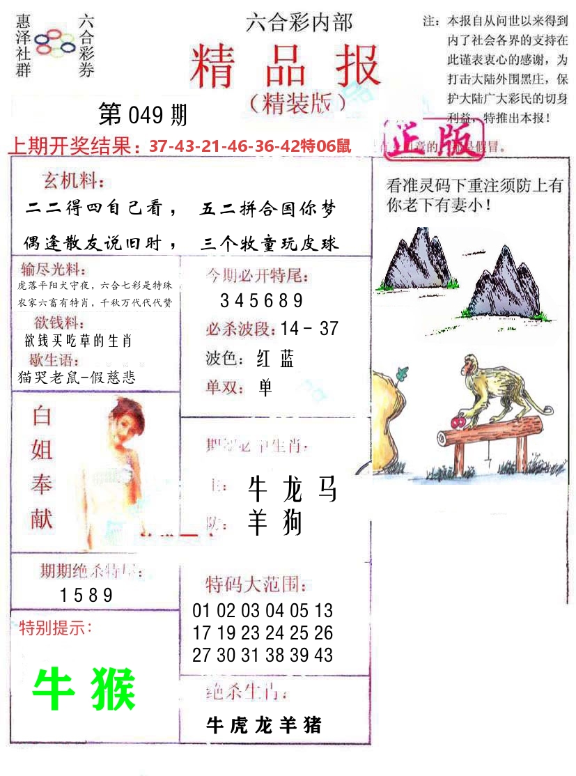 精品报 第49期