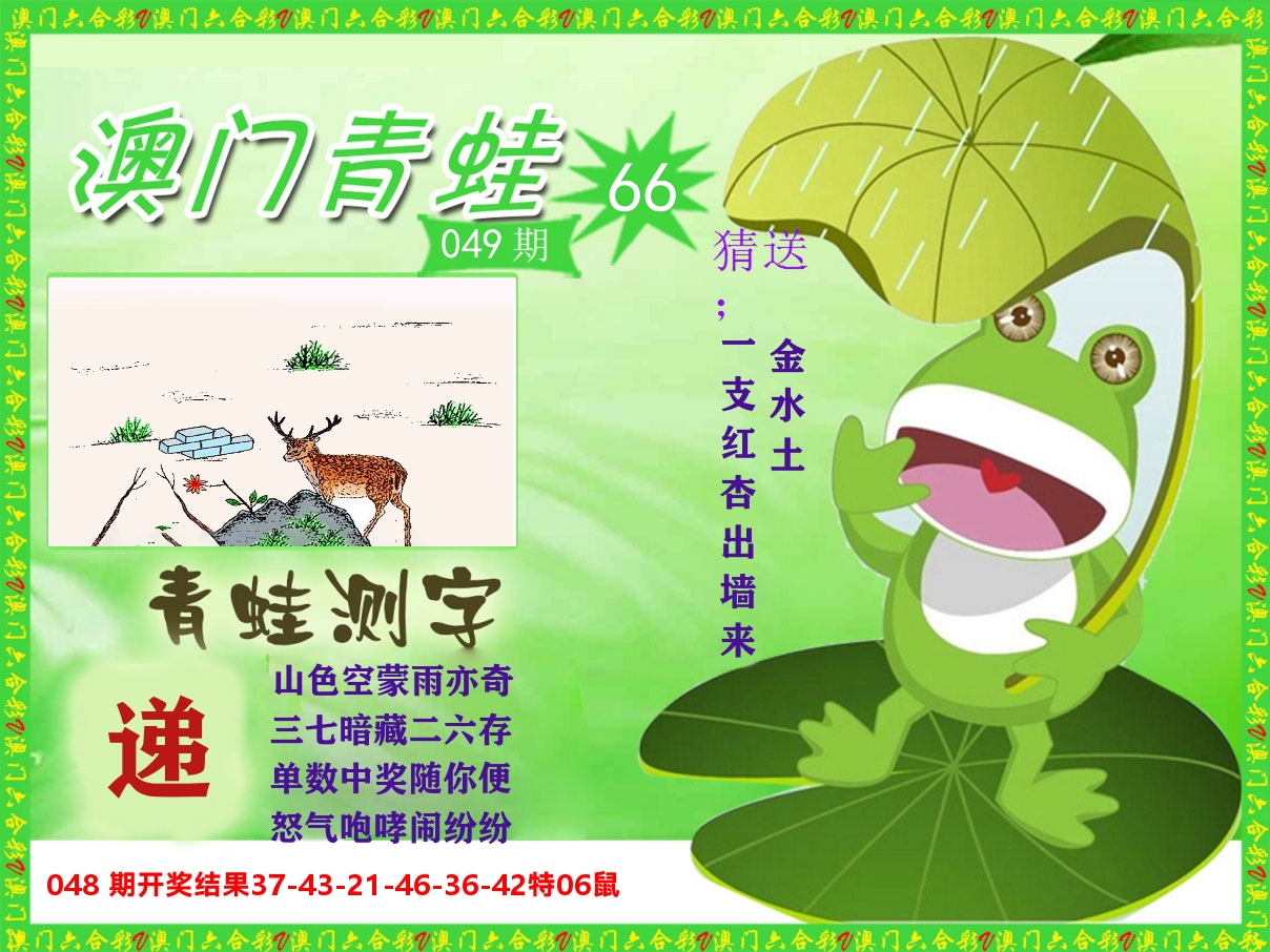 青蛙系列66 第49期