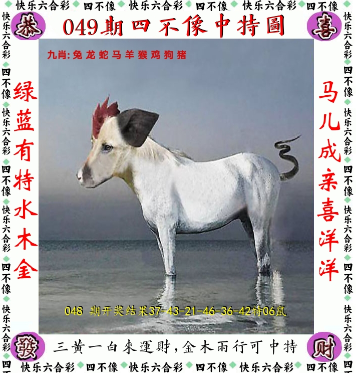 四不像 第49期
