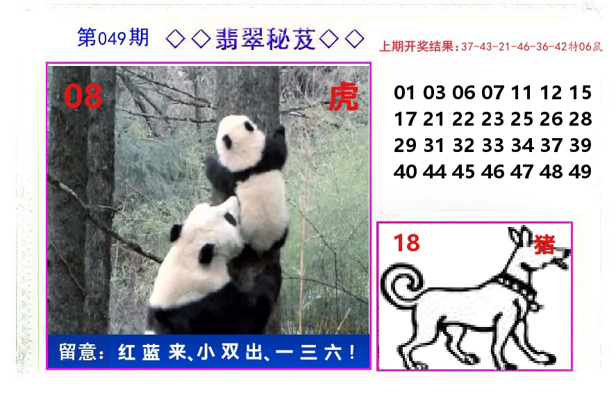 翡翠秘芨 第49期