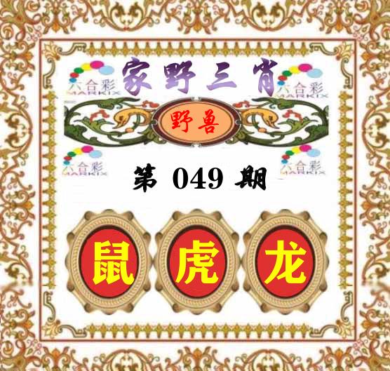 家野三肖 第49期