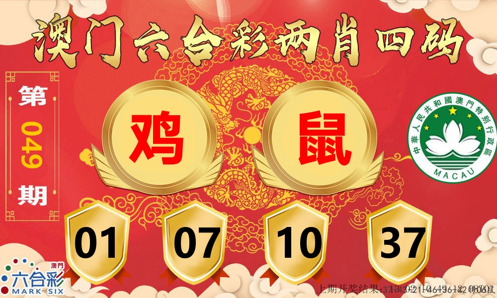 澳门两肖四码 第49期