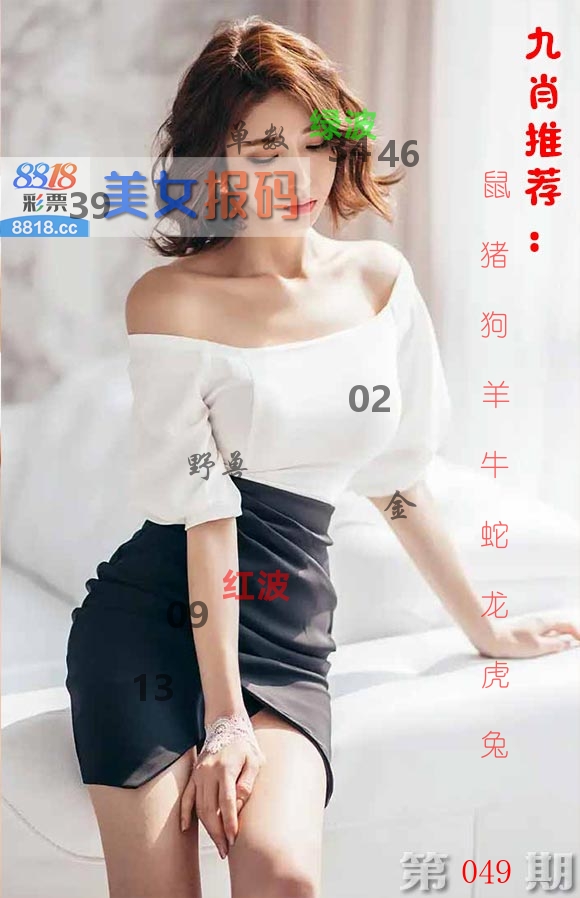 美女报码 第49期