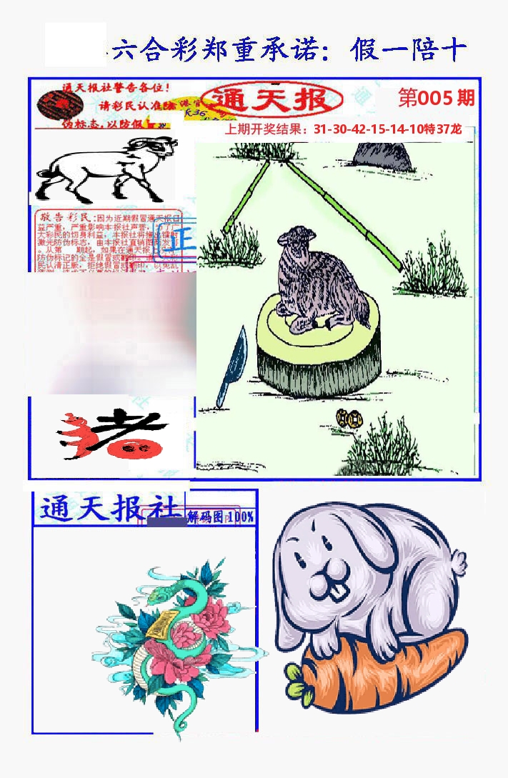 通天报 第5期