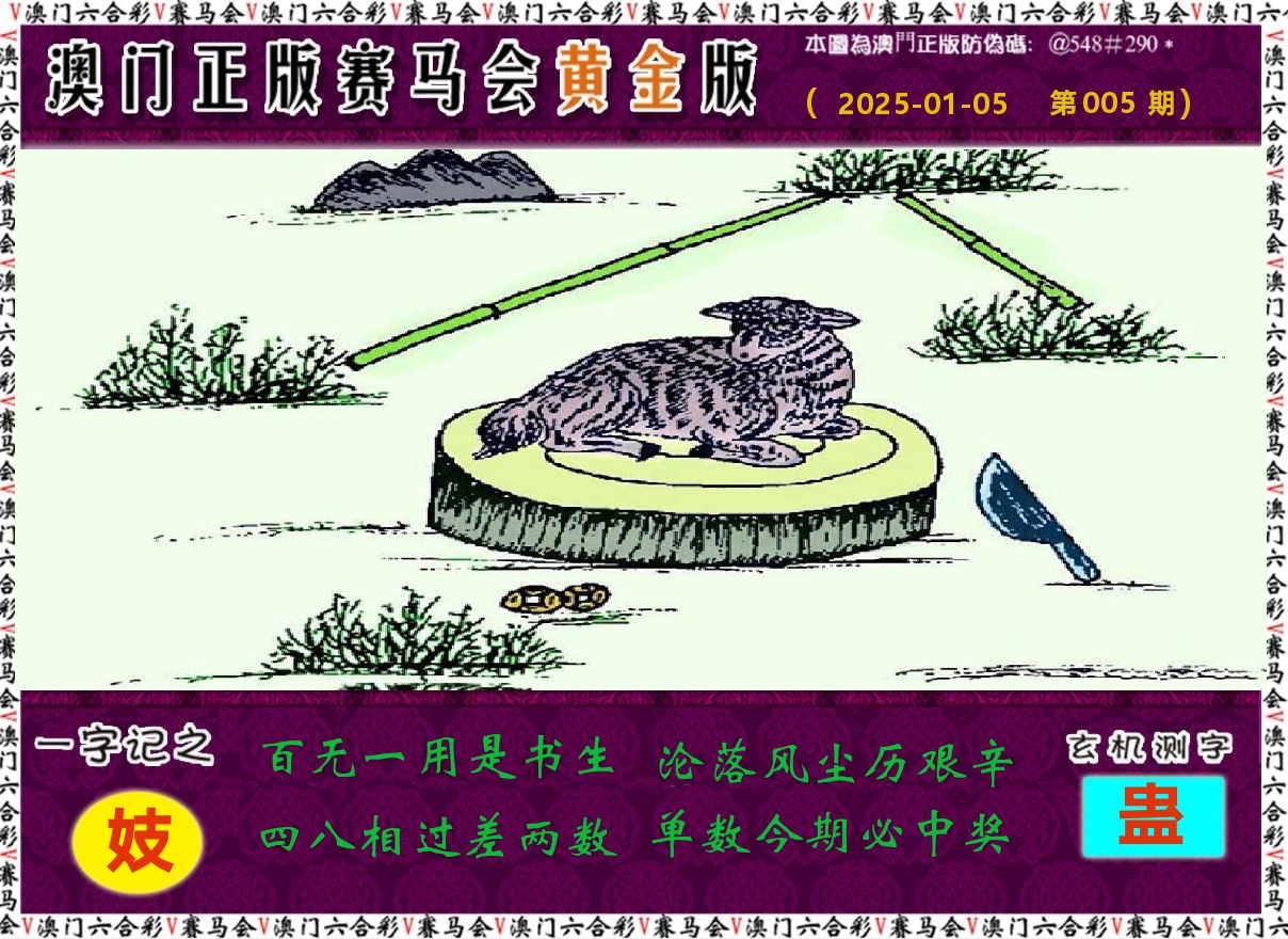 赛马会黄金版 第5期