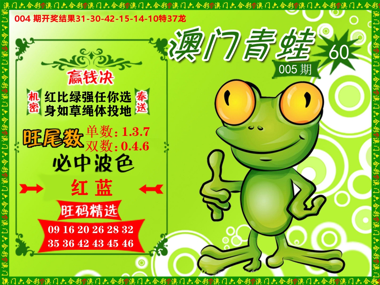 青蛙系列60 第5期
