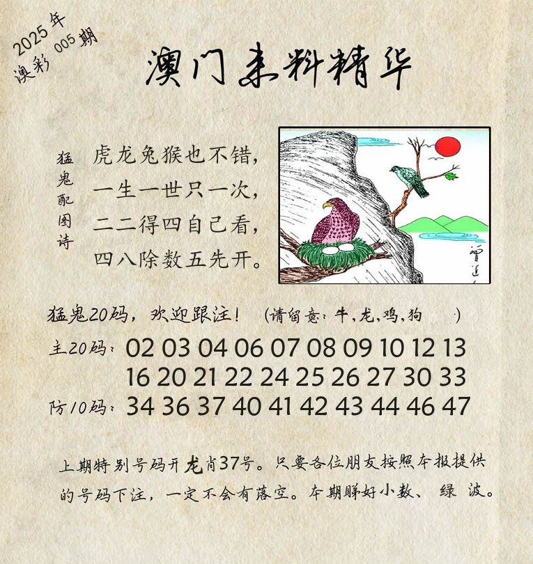 精华来料 第5期