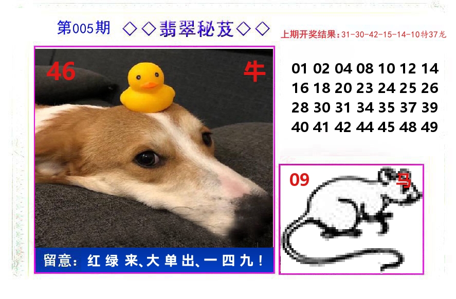 翡翠秘芨 第5期
