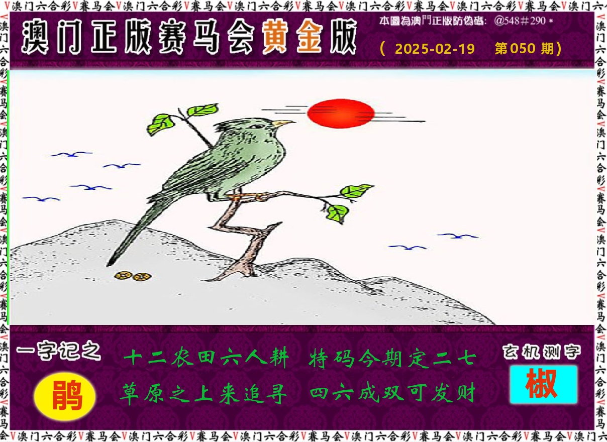 赛马会黄金版 第50期