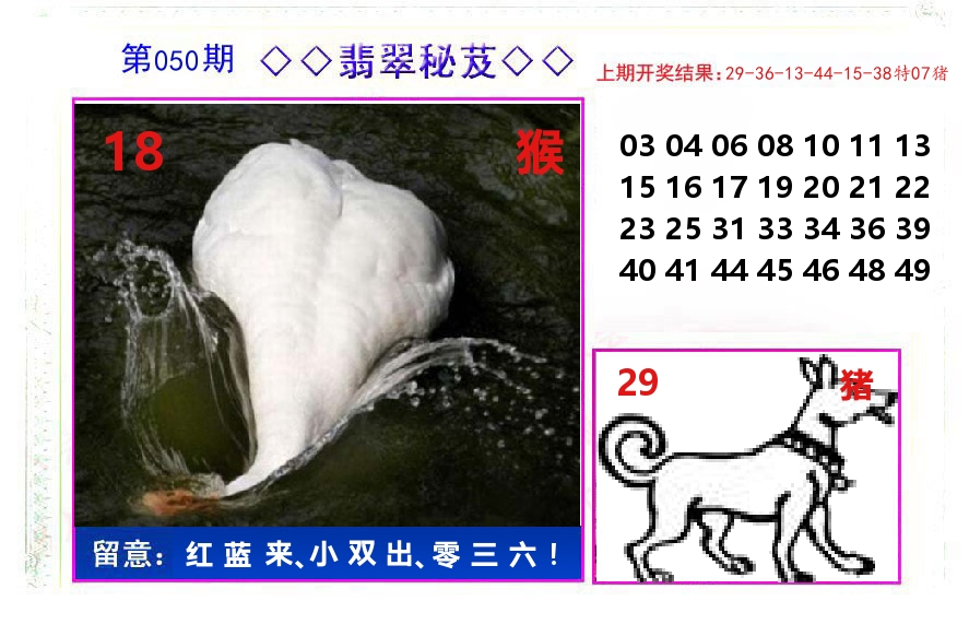 翡翠秘芨 第50期