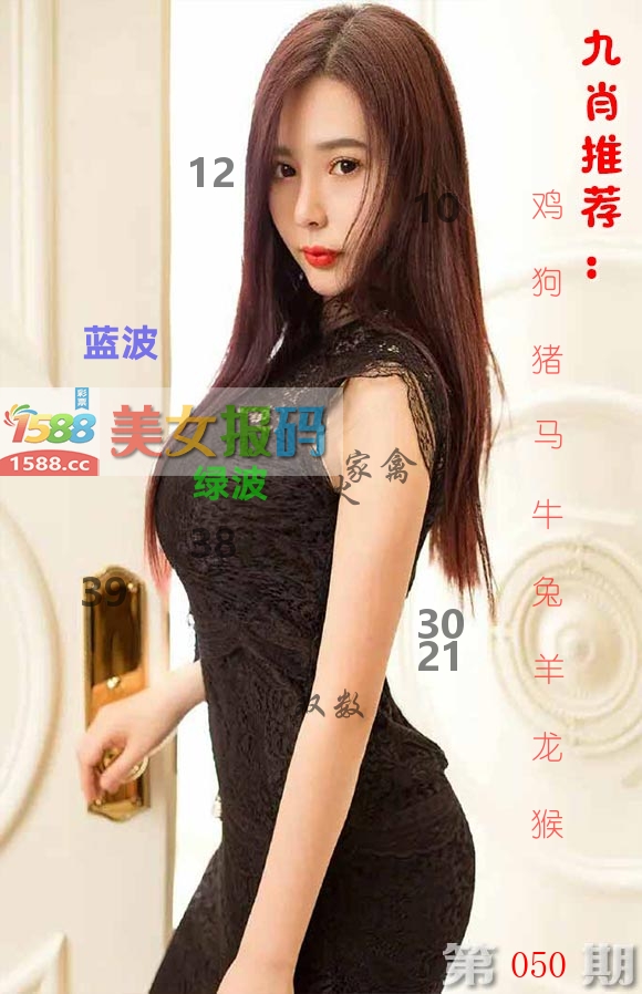 美女报码 第50期