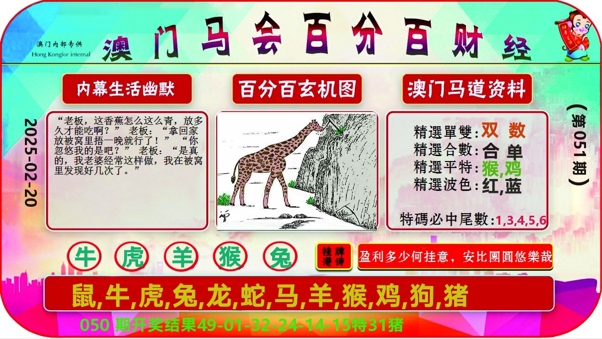 百分百财经 第51期