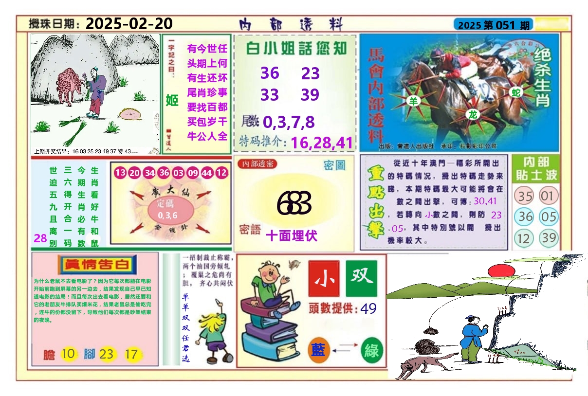 澳门内部透料A 第51期