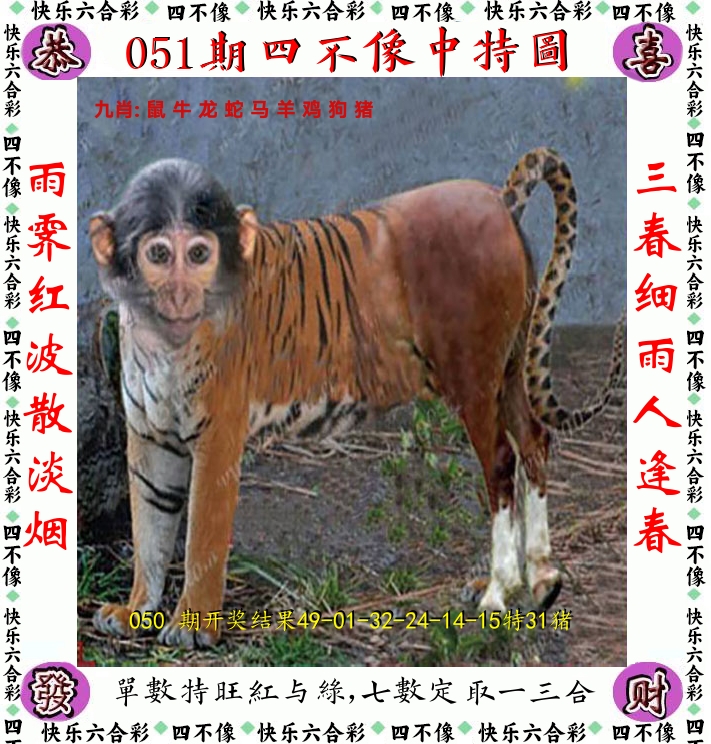 四不像 第51期
