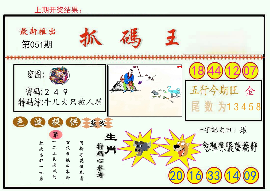 最新抓码王 第51期