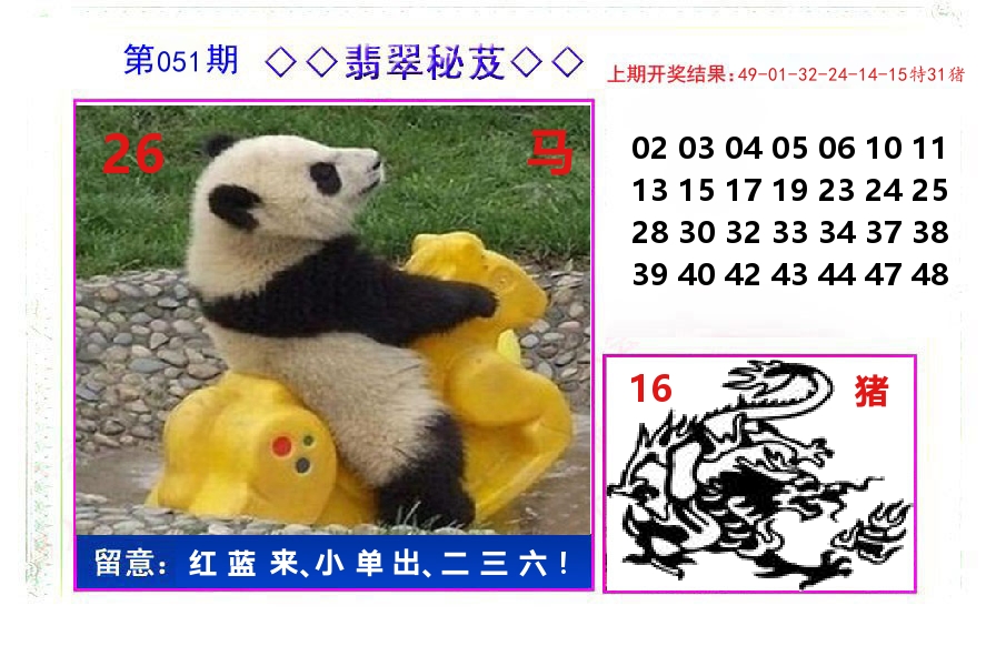 翡翠秘芨 第51期