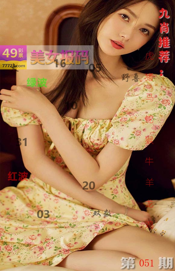 美女报码 第51期