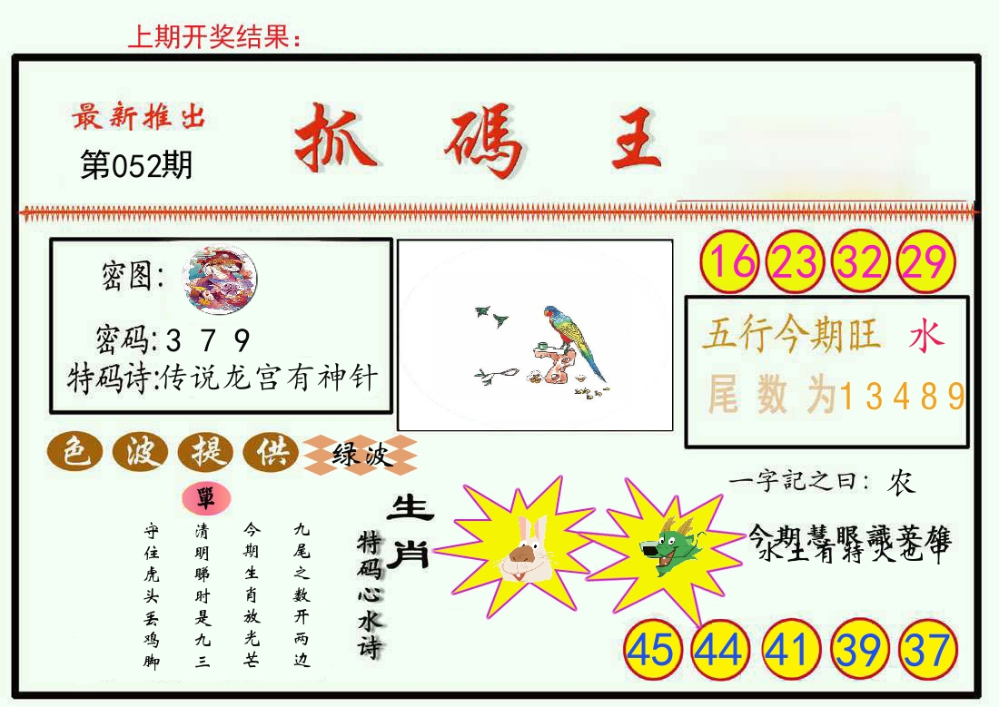最新抓码王 第52期