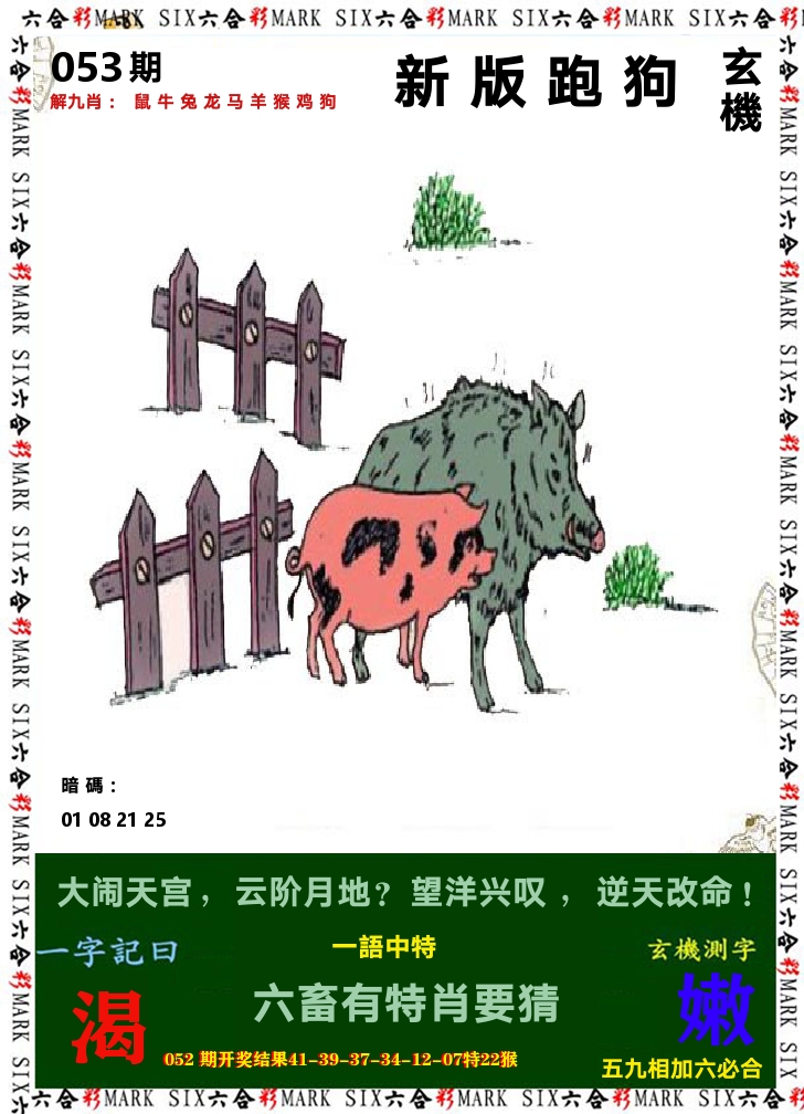悟入其图 第53期
