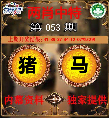 两肖中特 第53期