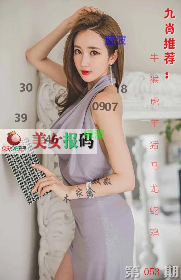美女报码 第53期