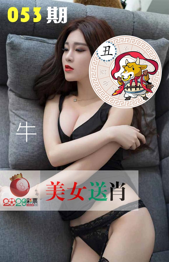 美女送肖 第53期