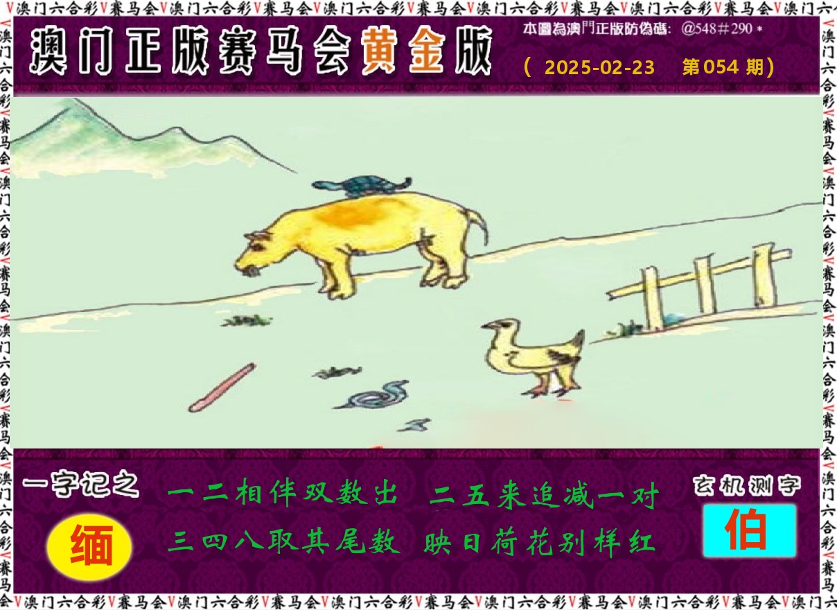 赛马会黄金版 第54期