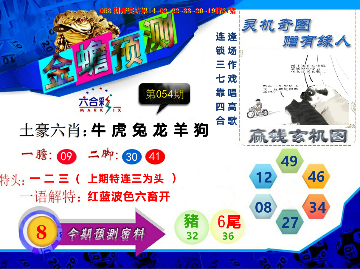 金蟾预测 第54期
