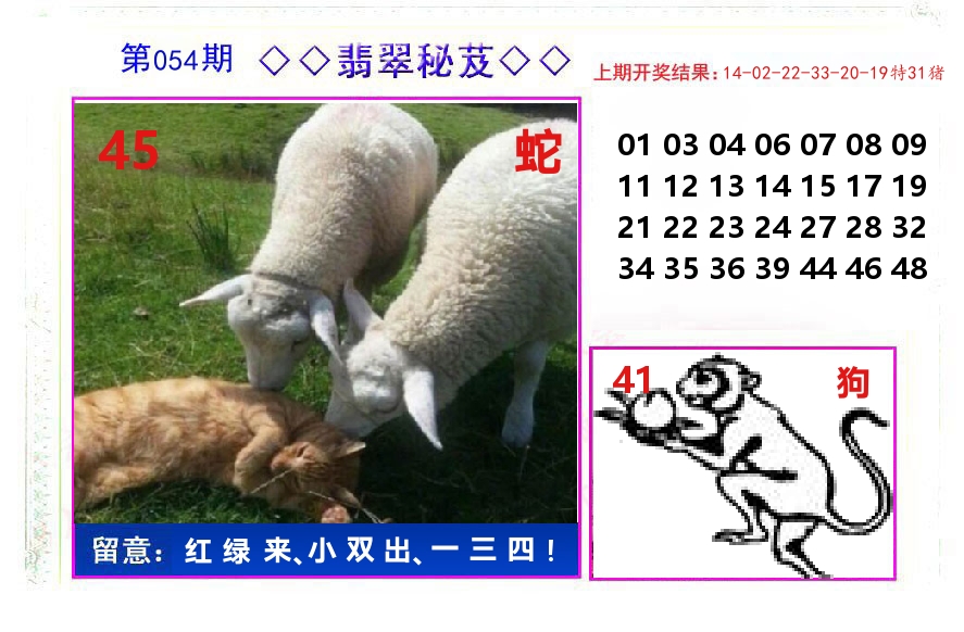 翡翠秘芨 第54期